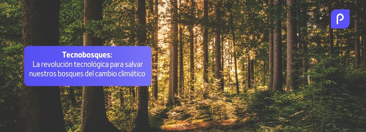 Tecnobosques: la revolución tecnológica para salvar nuestros bosques del cambio climático